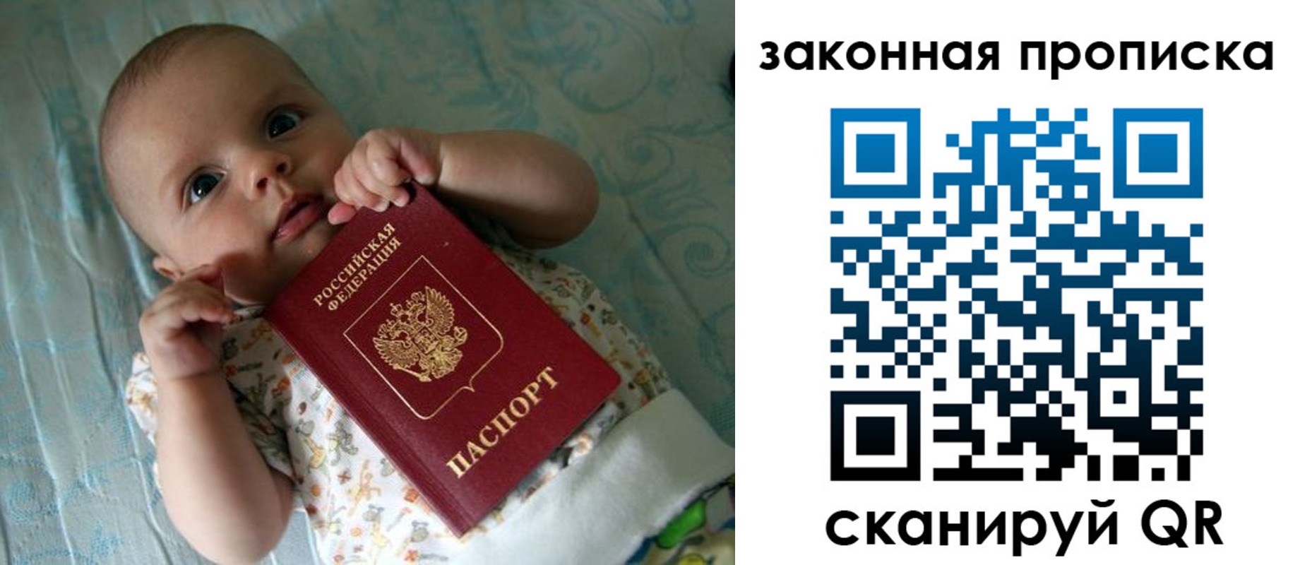 прописка для работы в Щёлково