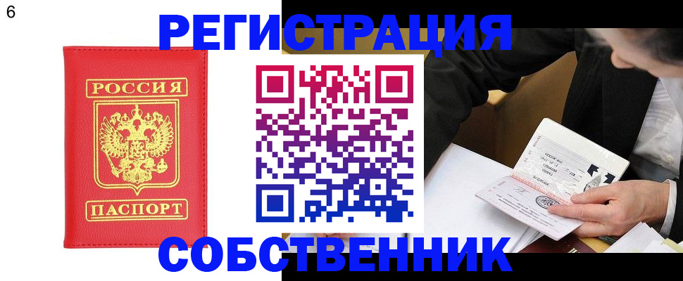 временная регистрация поиск в Щёлково
